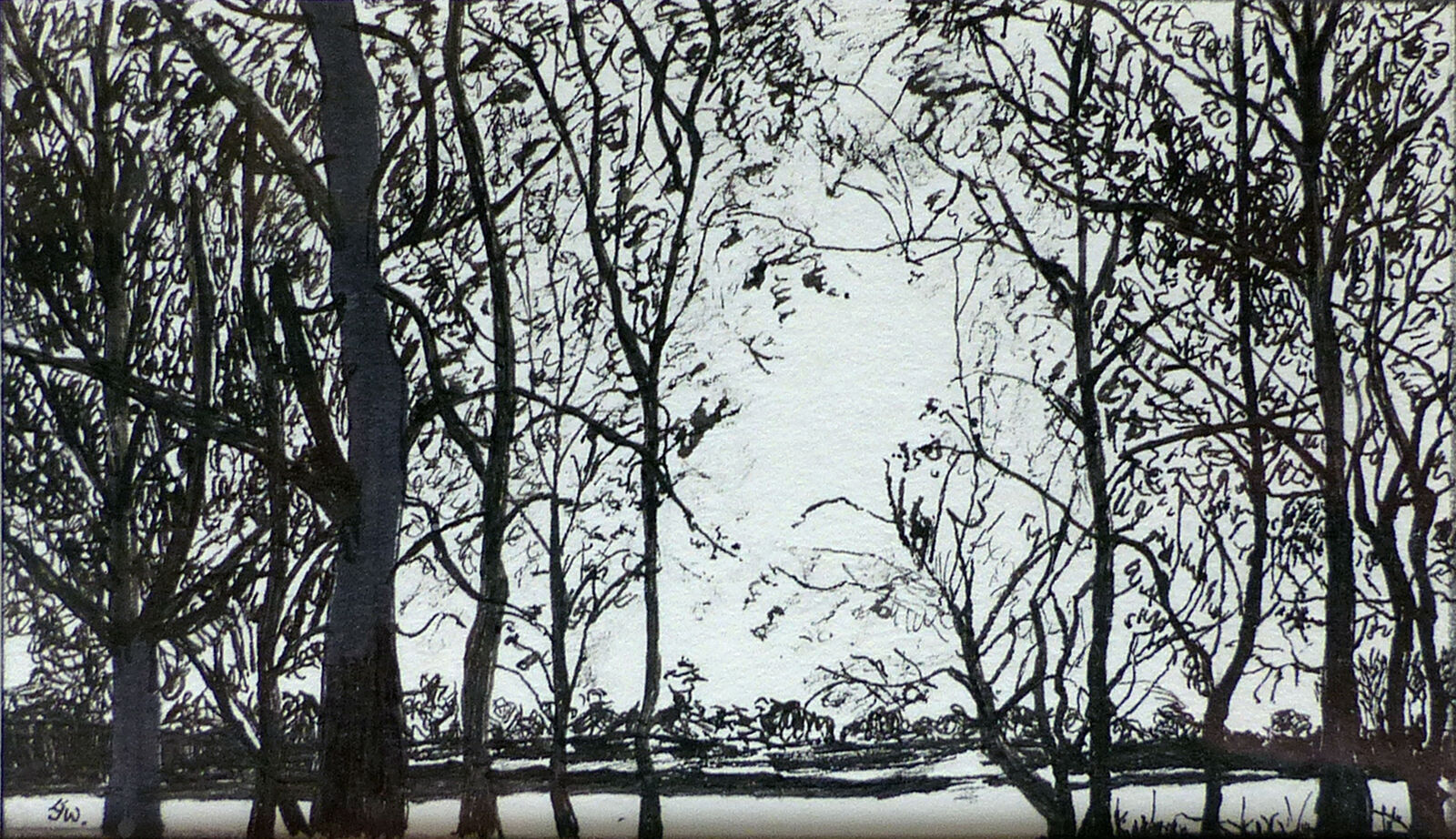 Winter trees