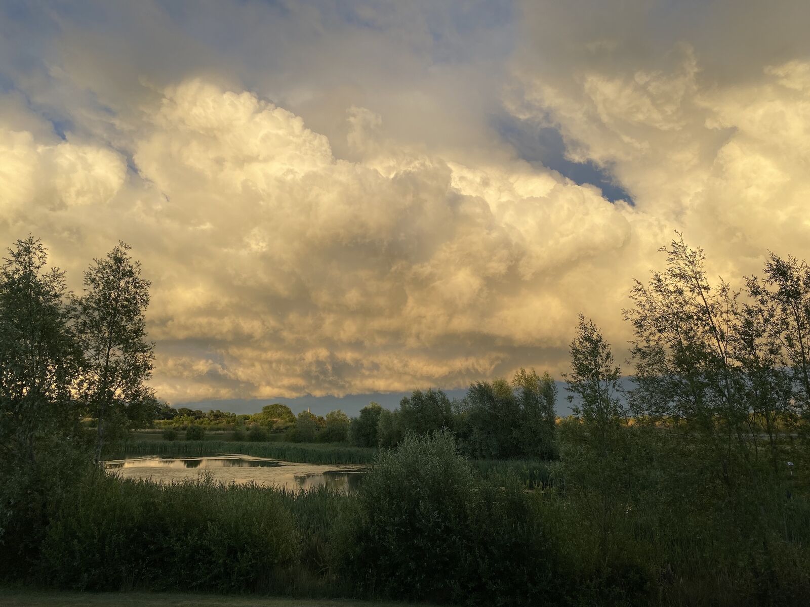 Evening Front