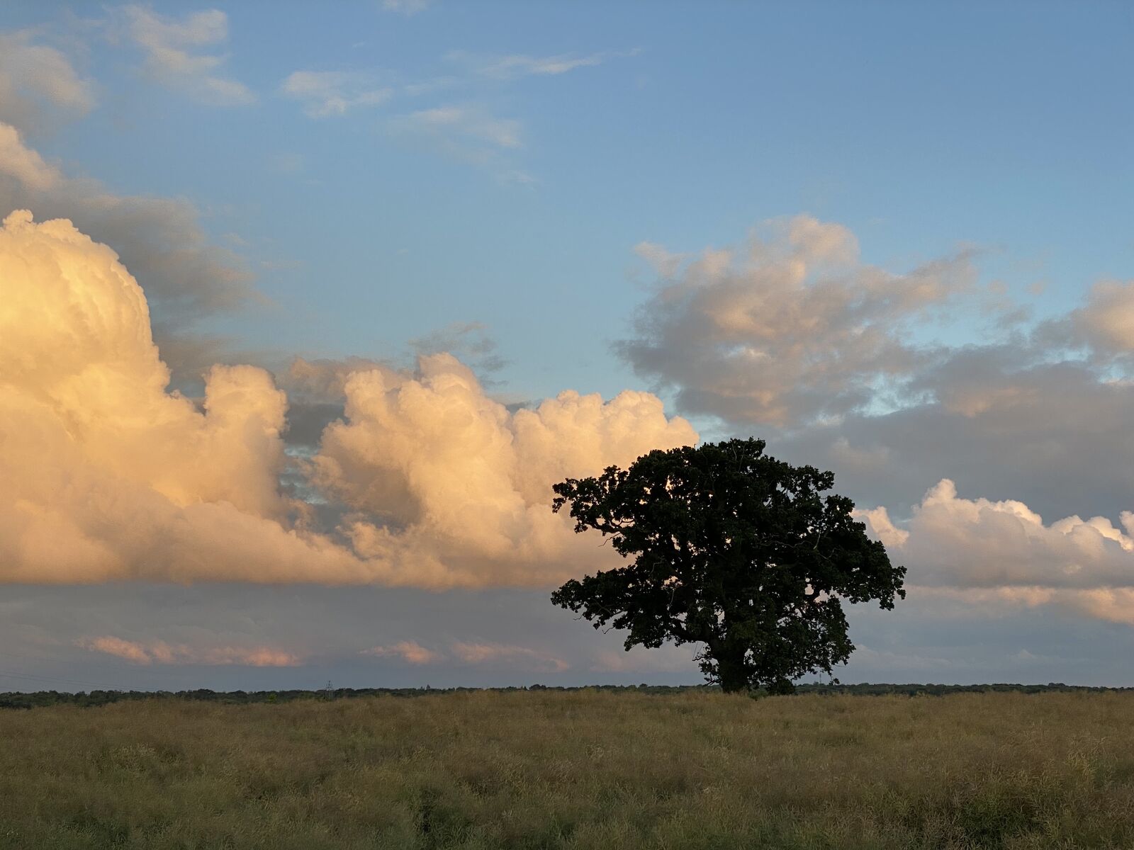 Evening Front 2