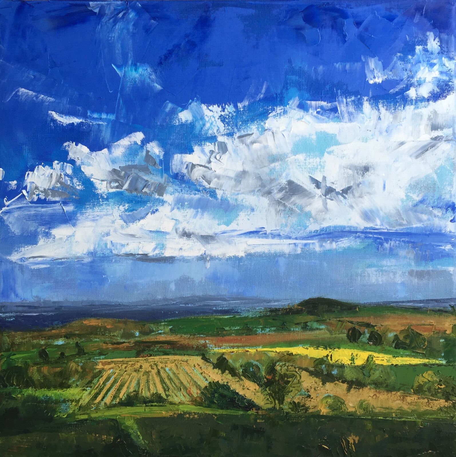 Herefordshire Fields