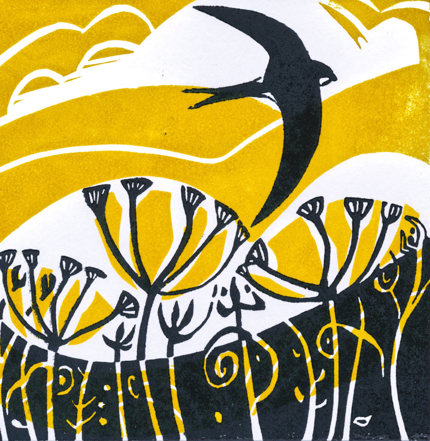 Towards summer- Downland swift