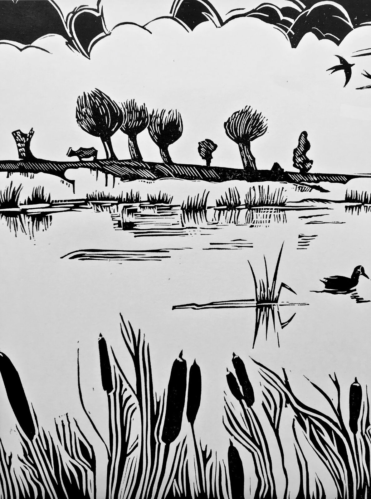 Towards summer- the Nene Wetlands