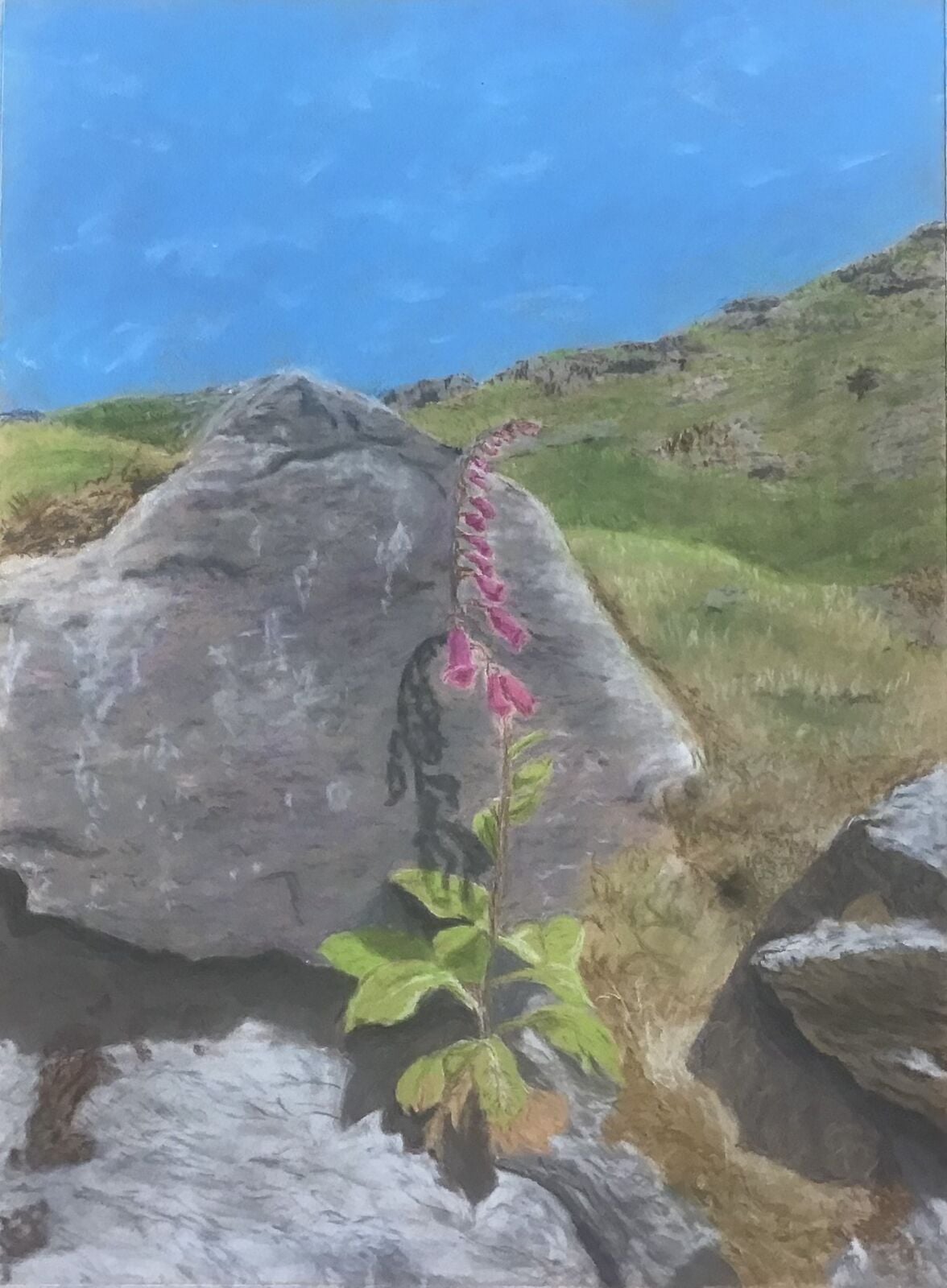 Coniston Walks