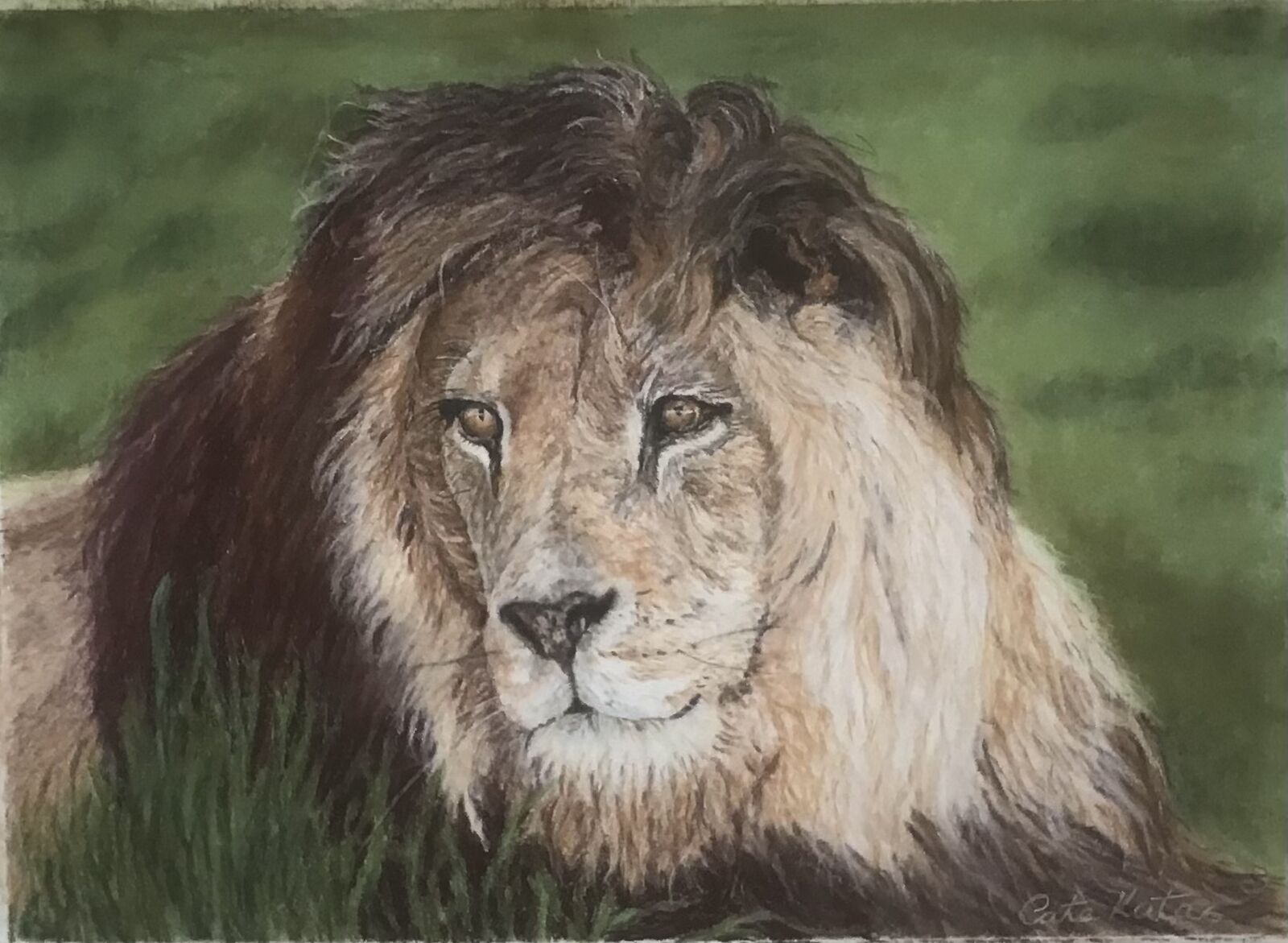 King of the Pride