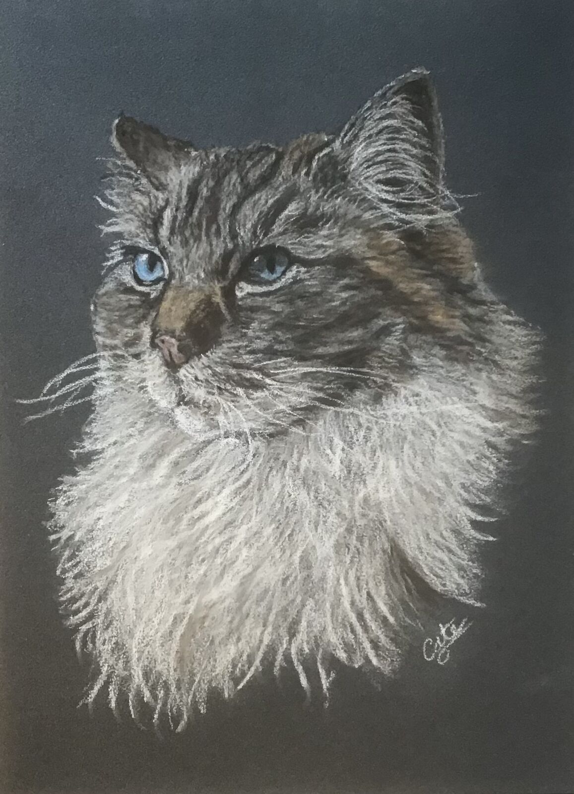 Blue eyes