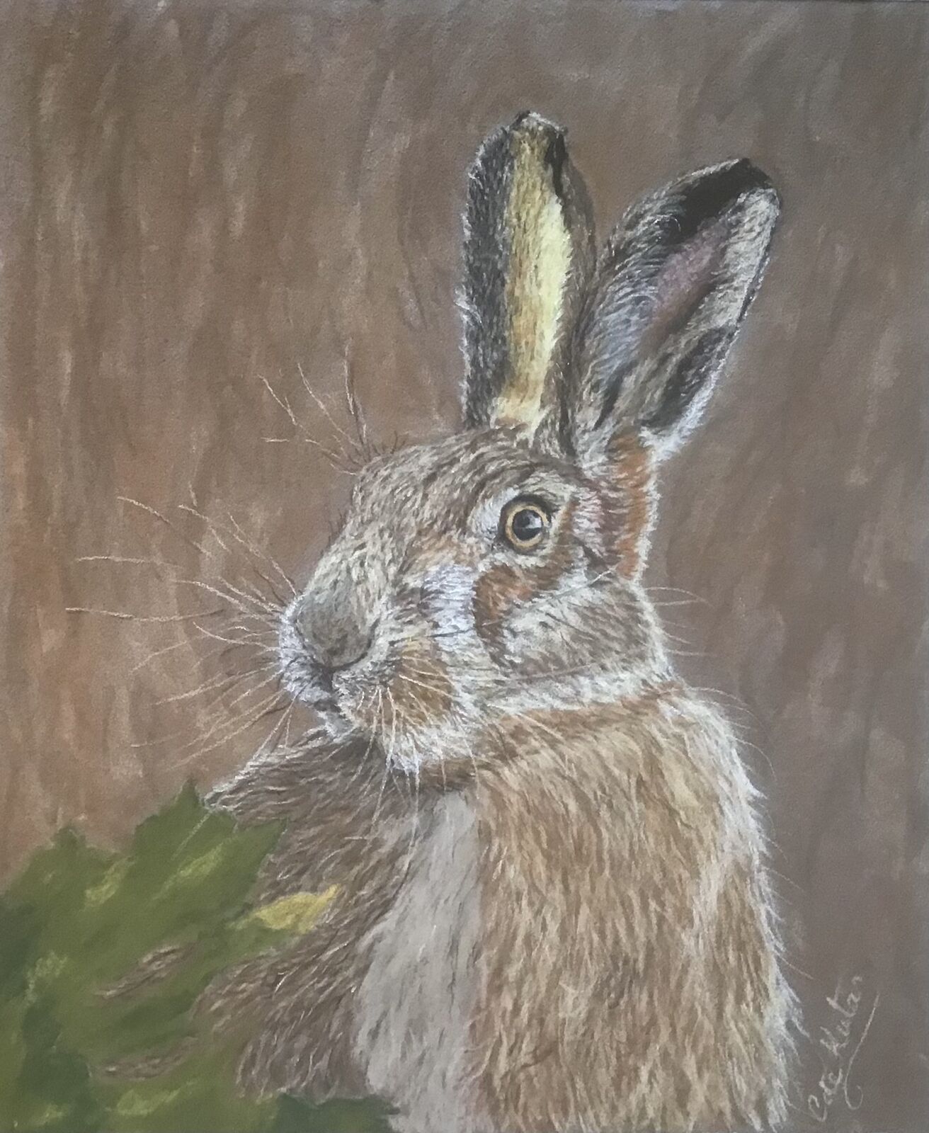 Hungry Hare