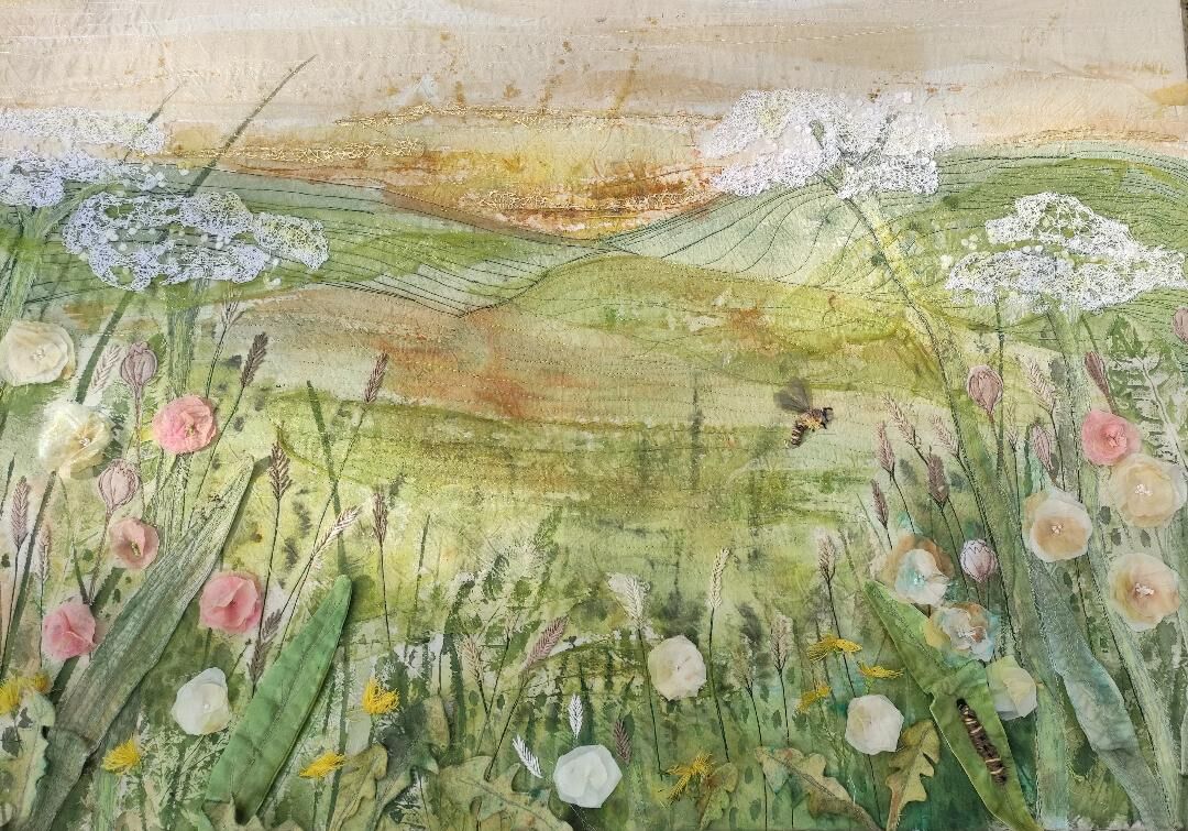 Secrets of a Hedgerow