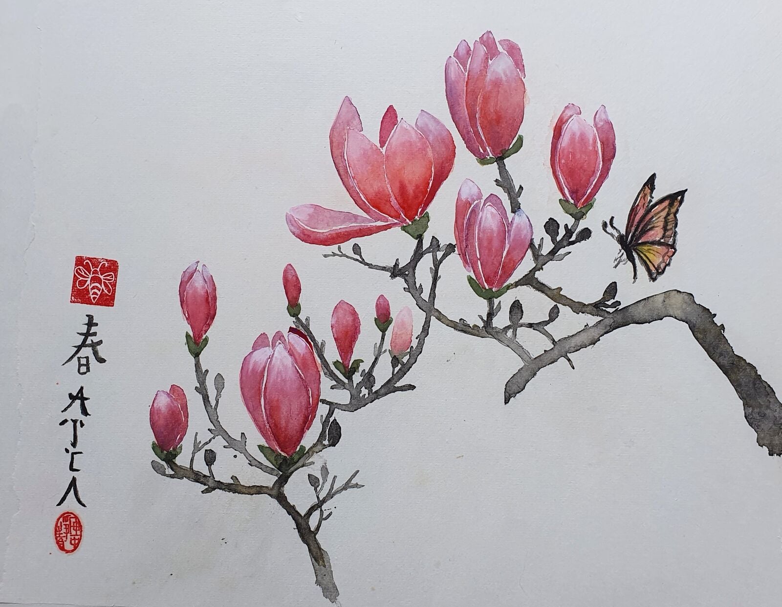 Magnolia