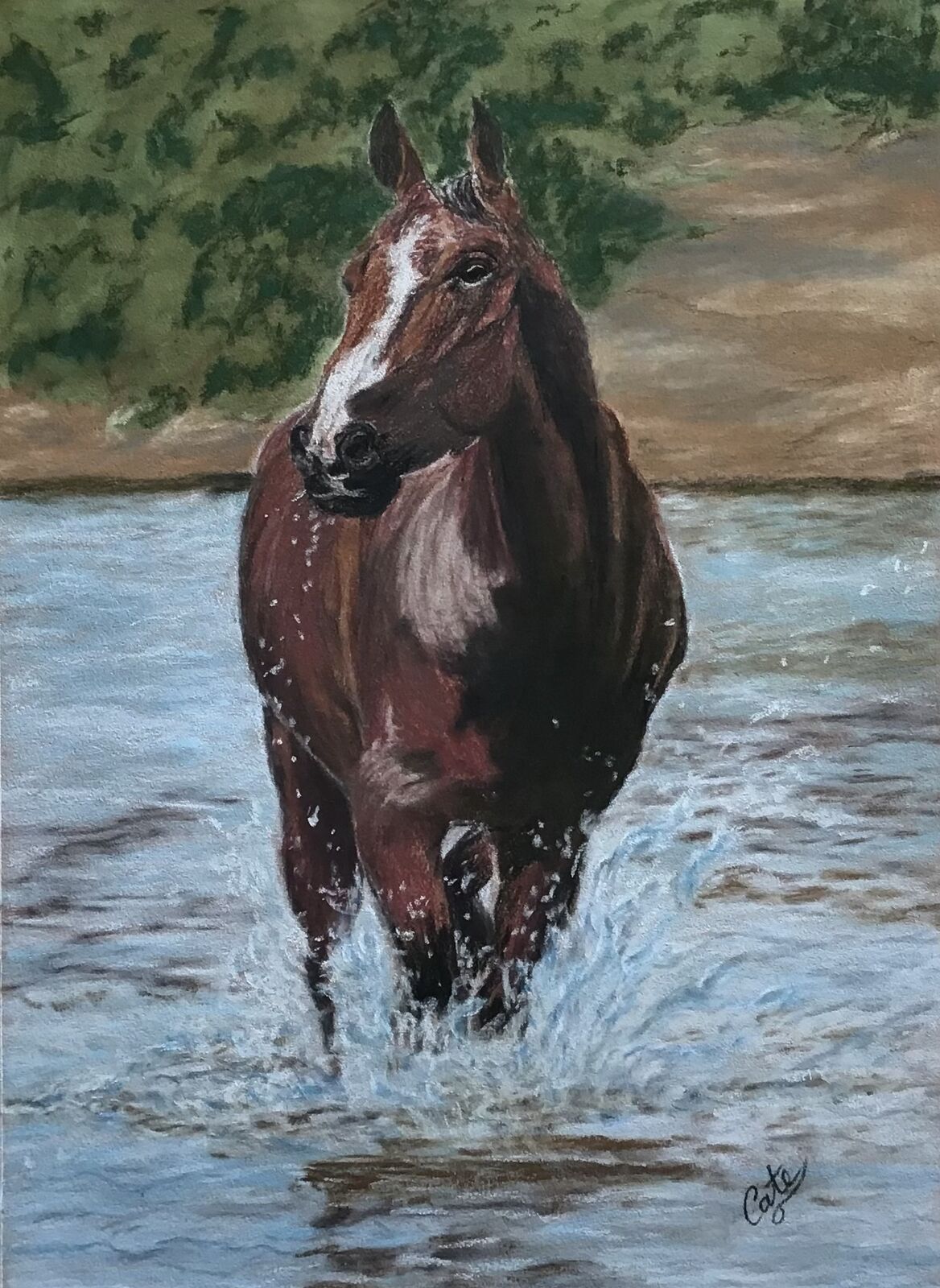 Splash