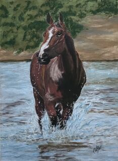 Horses