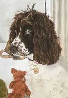 Dogs and Cats are great subjects