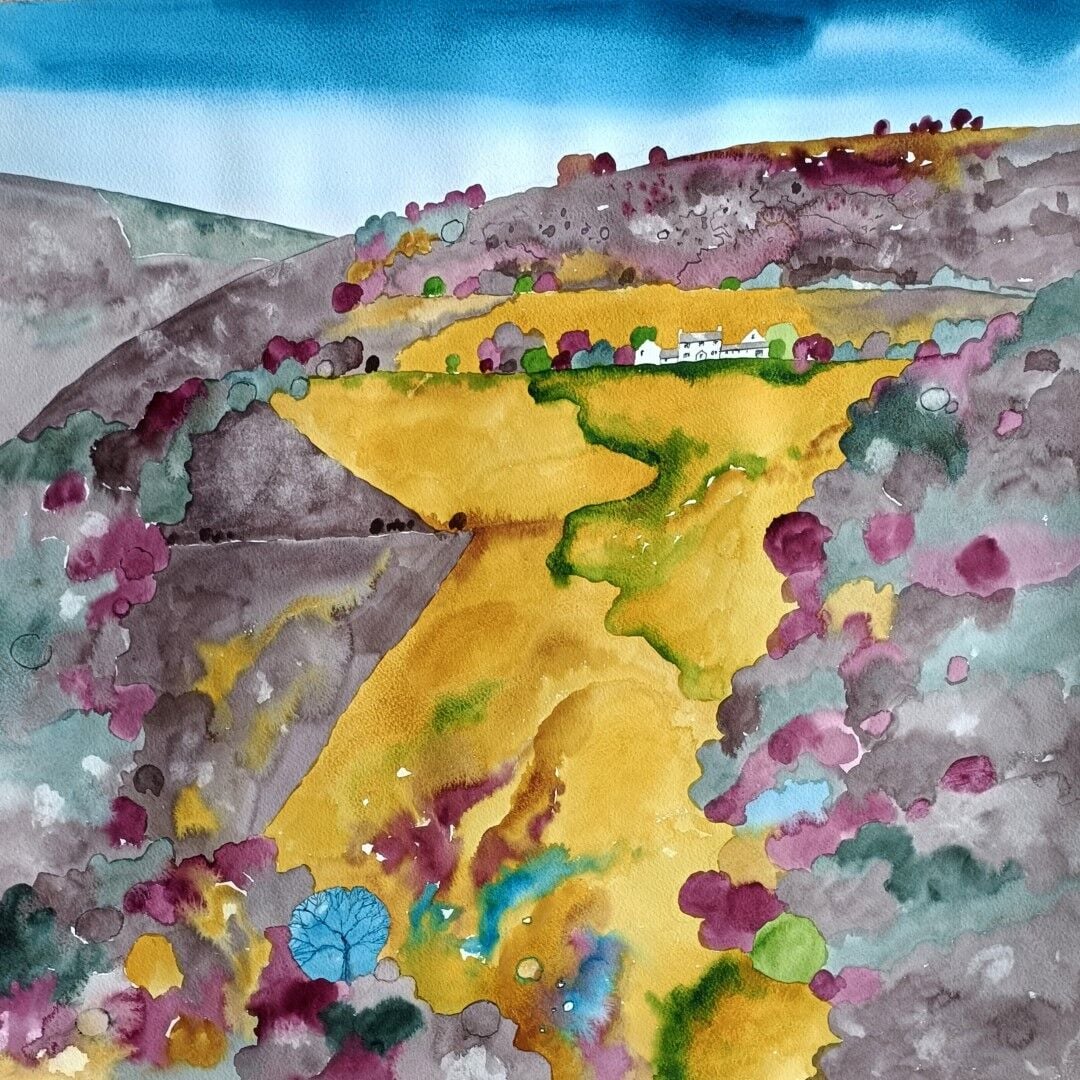 Farm above Settle, Yorkshire Dales