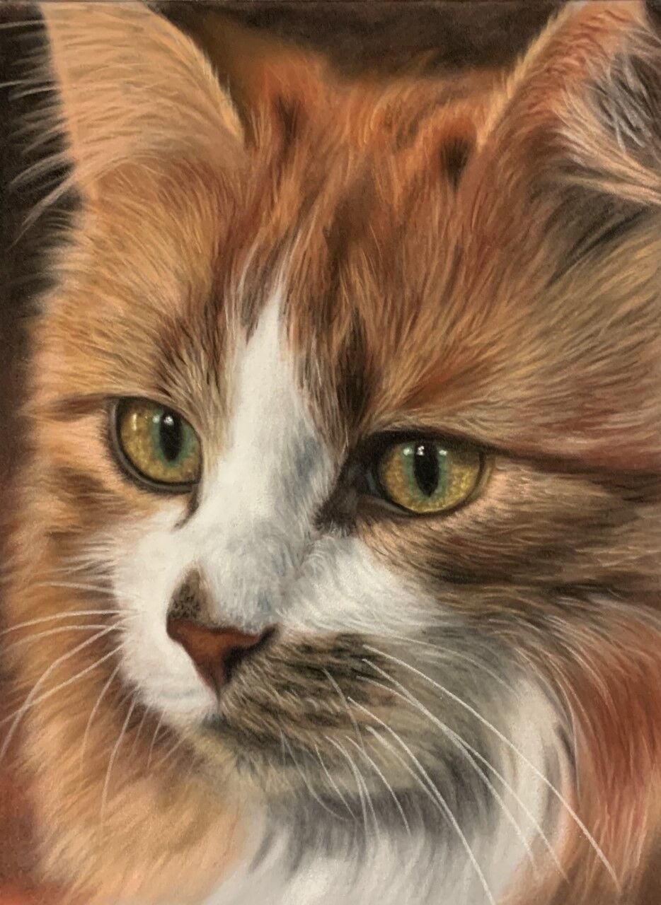Ginger