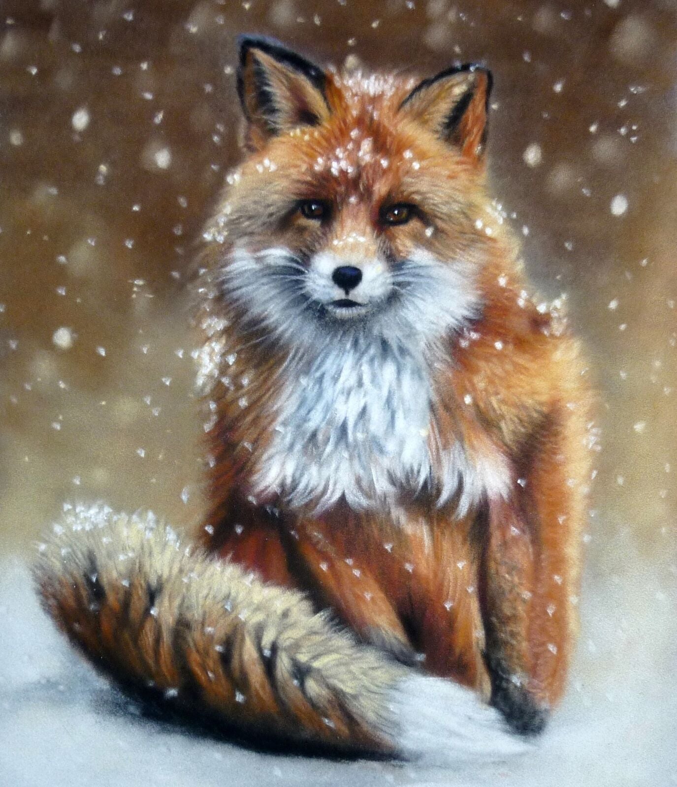 Fox in the snow