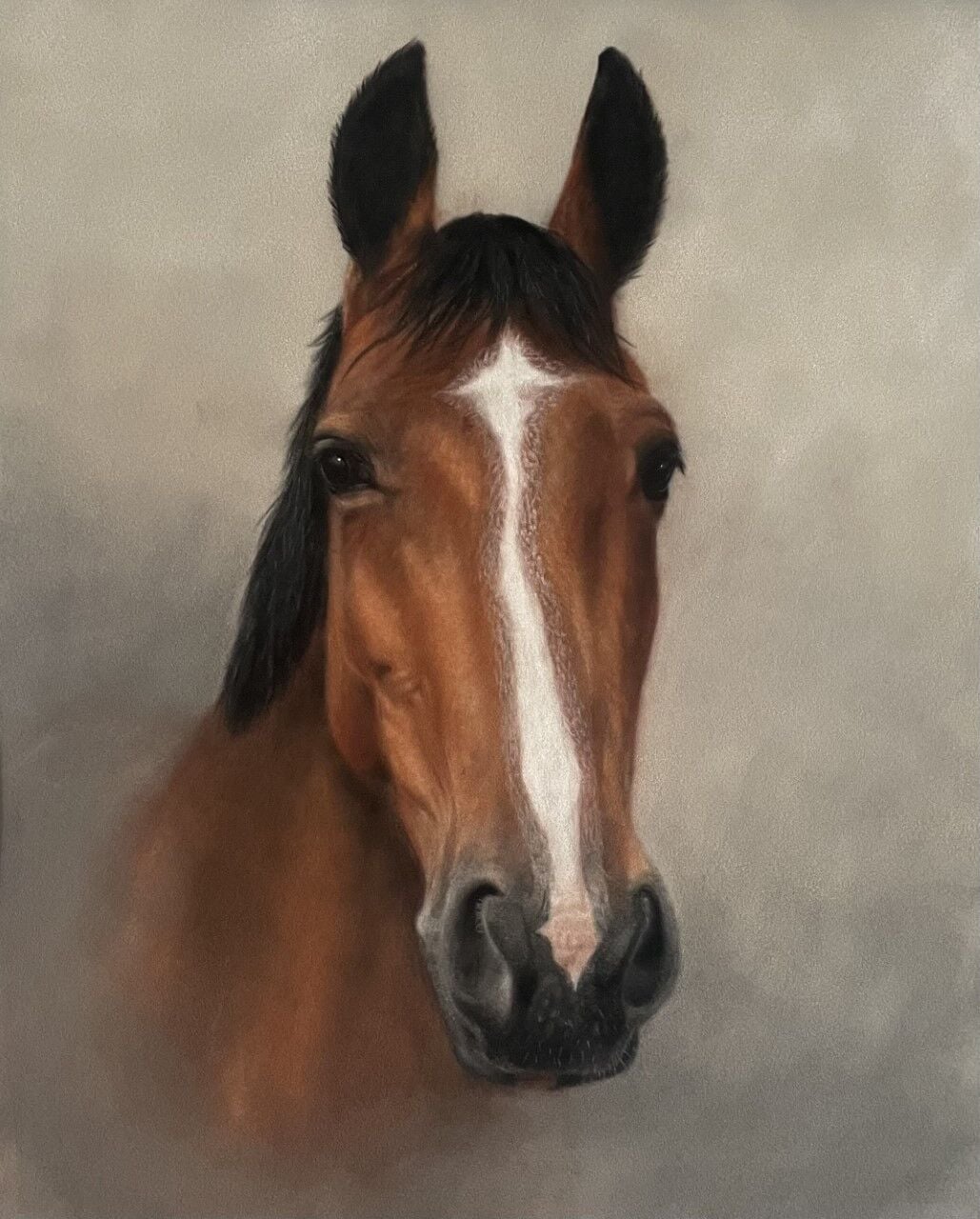 Ruby Horse