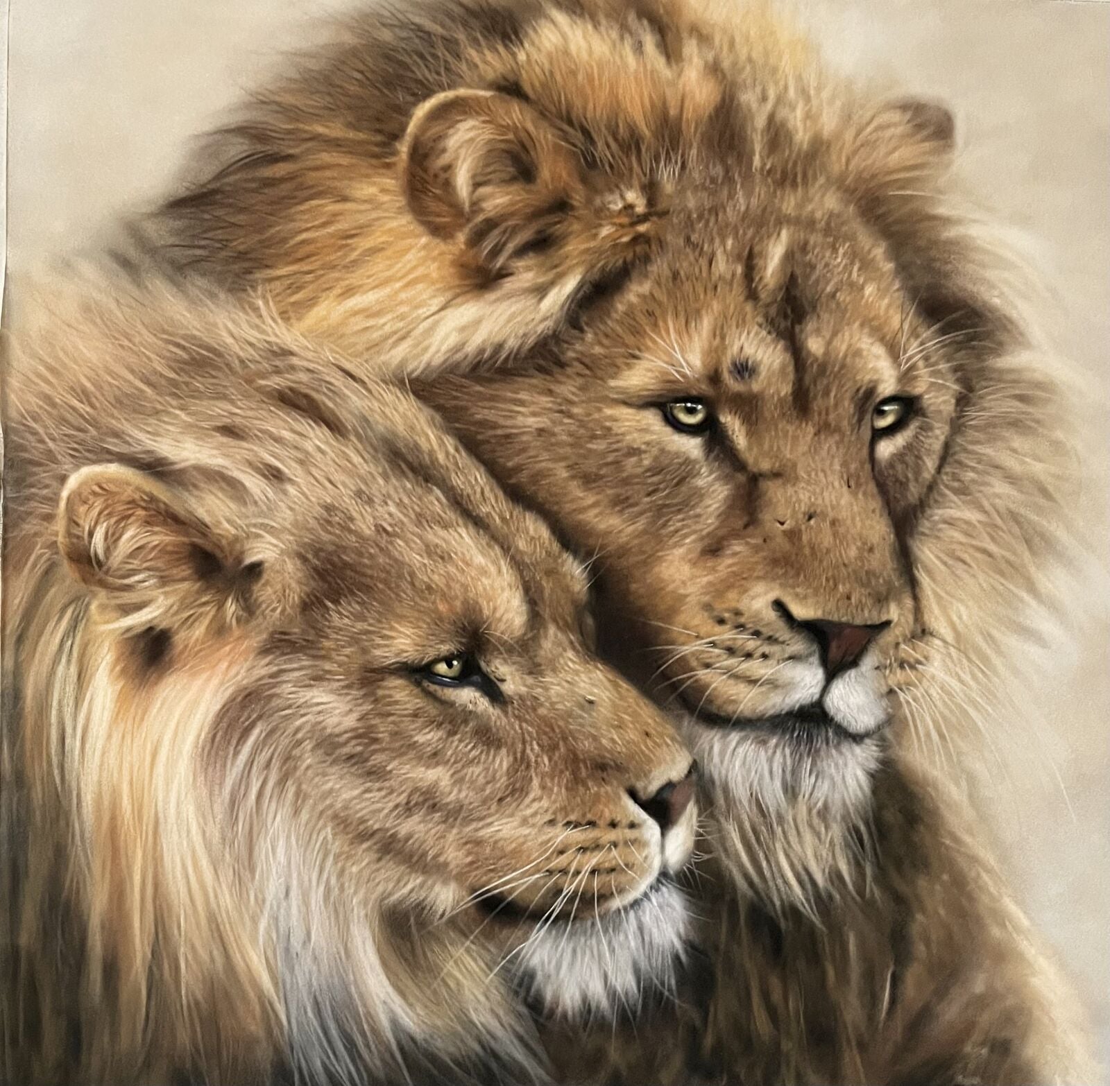 Soul mates