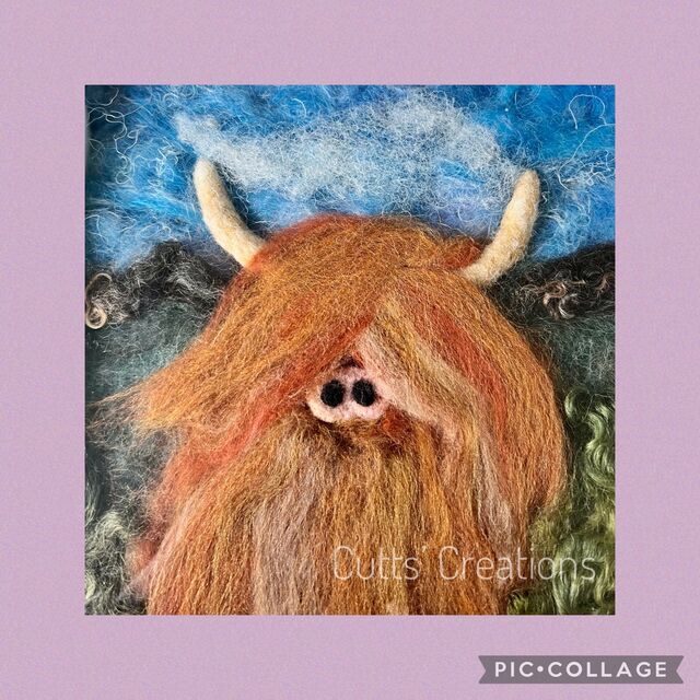 Highland Cow
