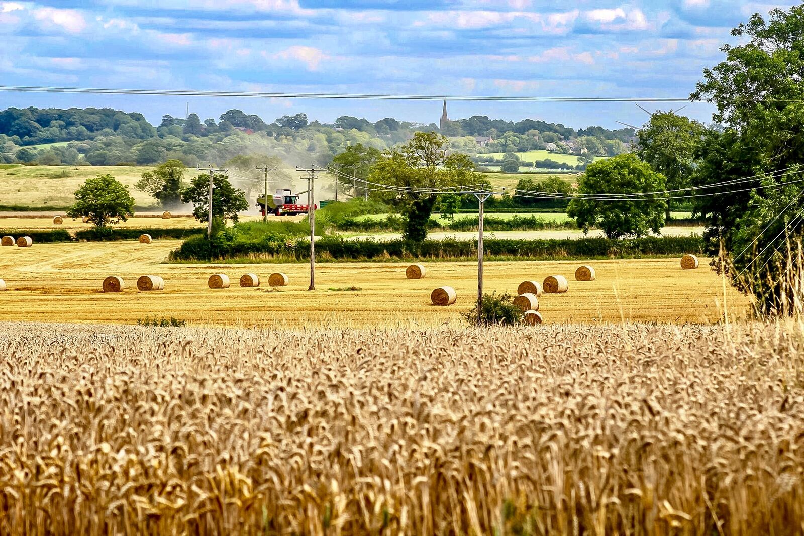 Bringing home the harvest