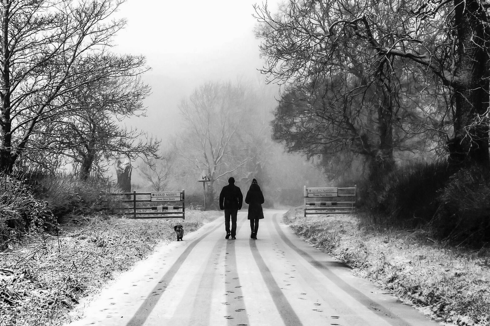 A Hazy shade of Winter