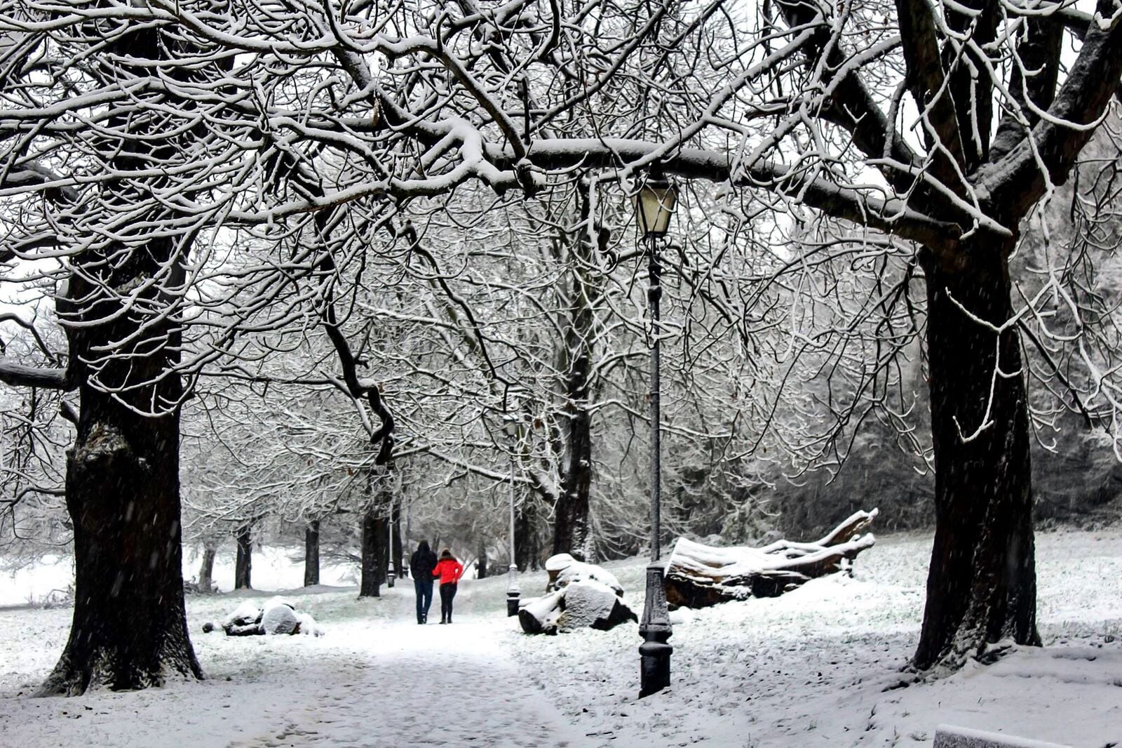 Walking in a winter wonderland 