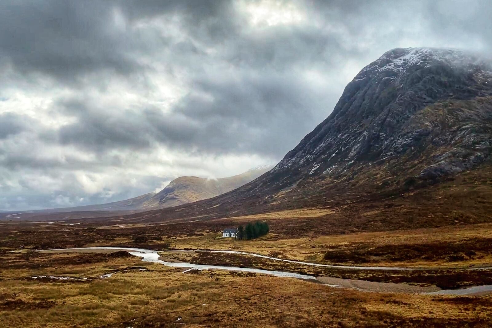 The Wee House