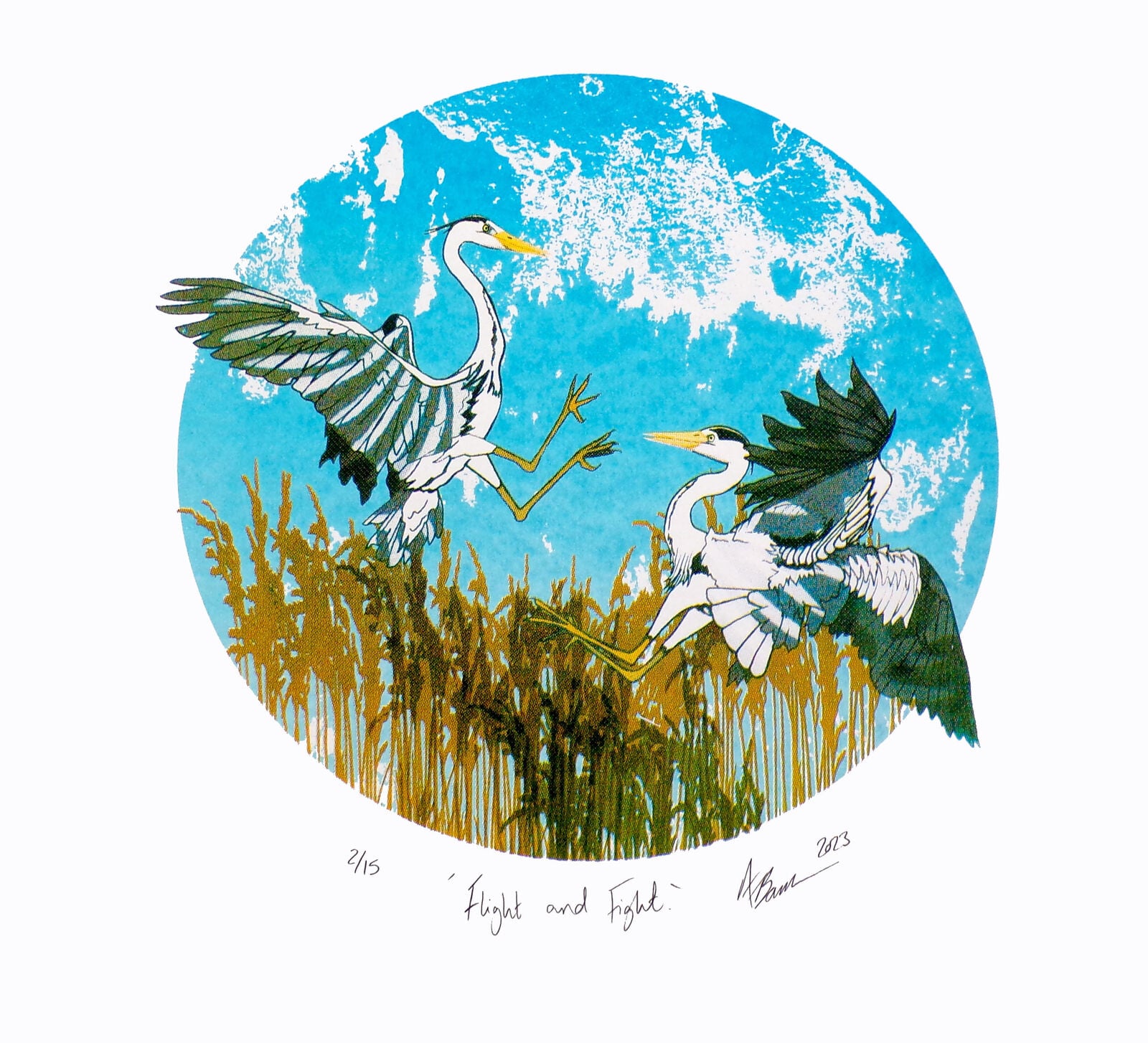 Flight and Fight