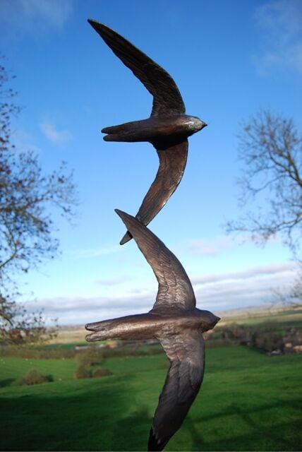 Bronze Swifts by JOEL Walker set in landscape
