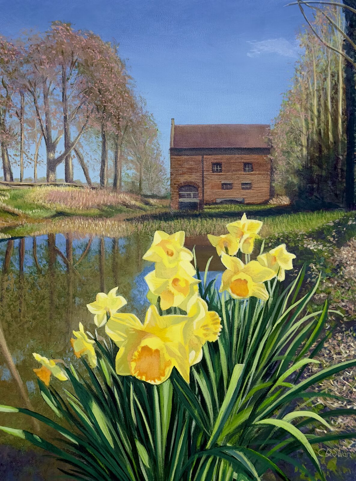 Dappled Dreams: Towcester Mill in Spring
