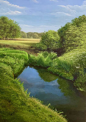 Towcester Watermeadows