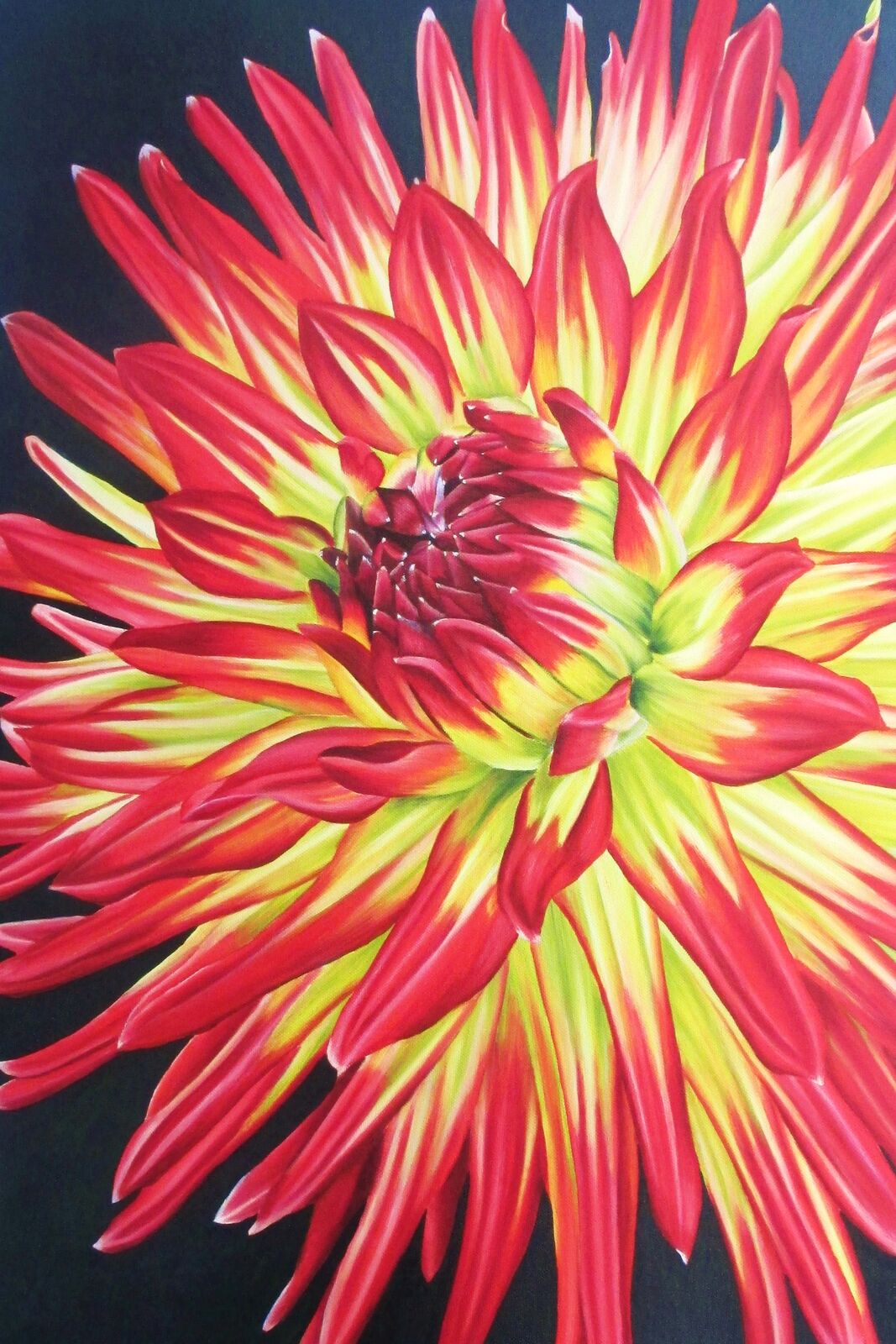 Dahlia Weston Spanish Dancer