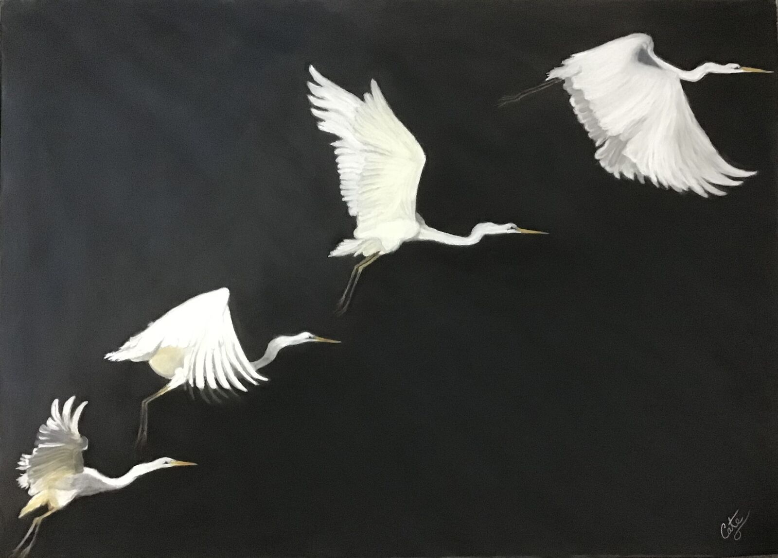 Launch of the Great White Egret