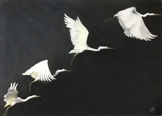 Drawing artwork by Cate Kutas