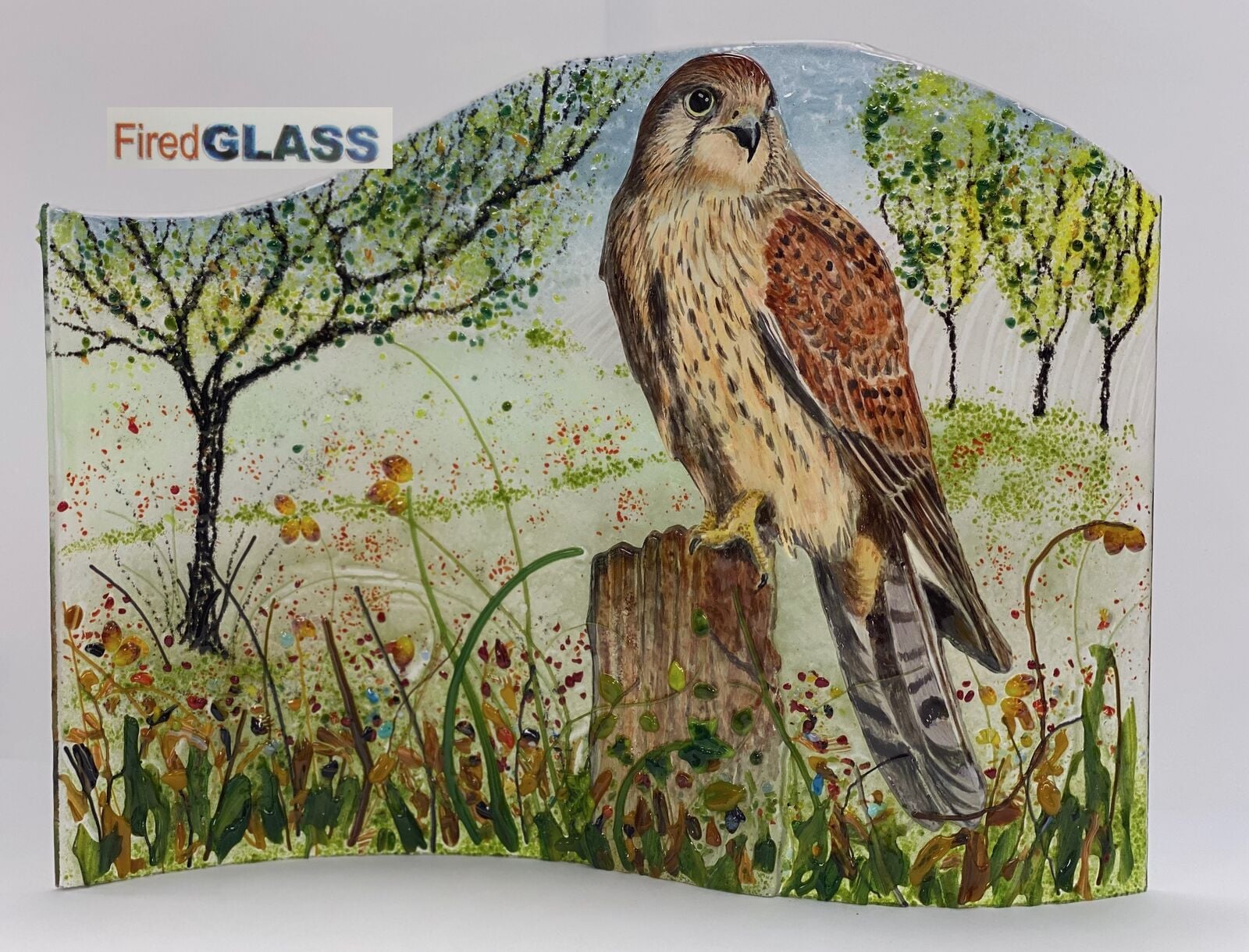 Kestrel