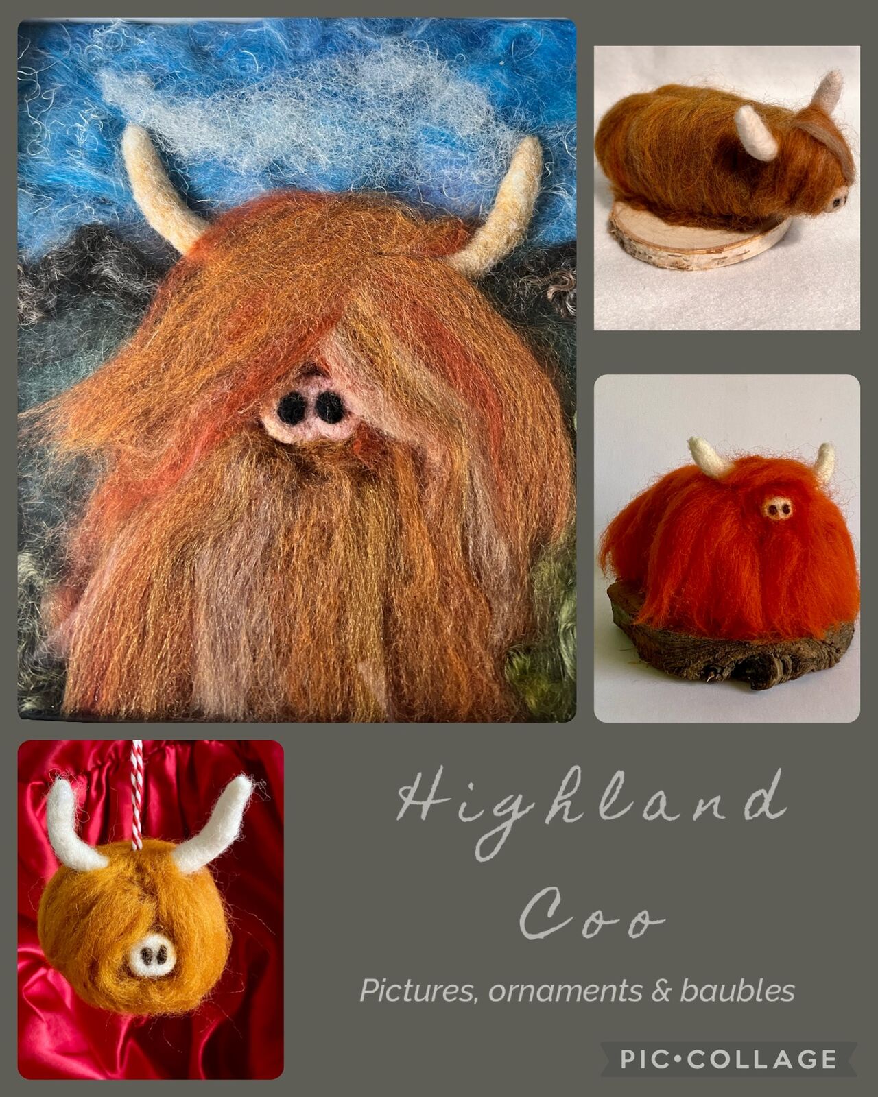 Highland Cows