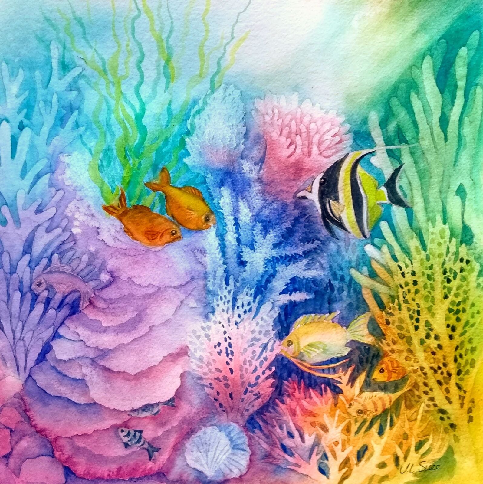 Life on the Coral reef