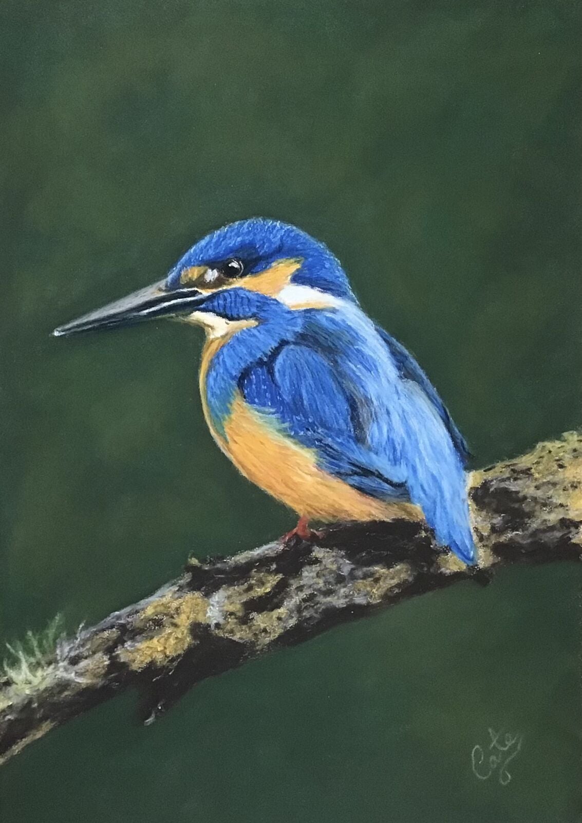 Kingfisher
