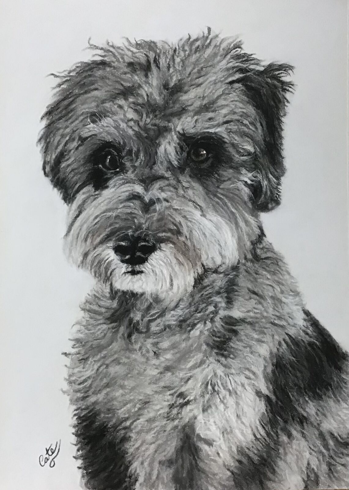 Archie