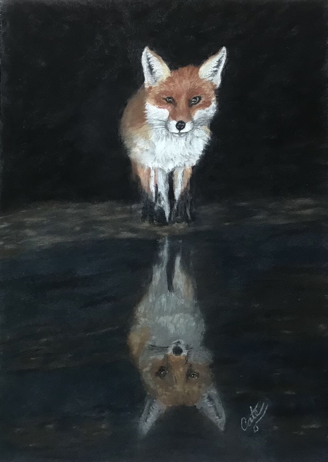 Night Reflection