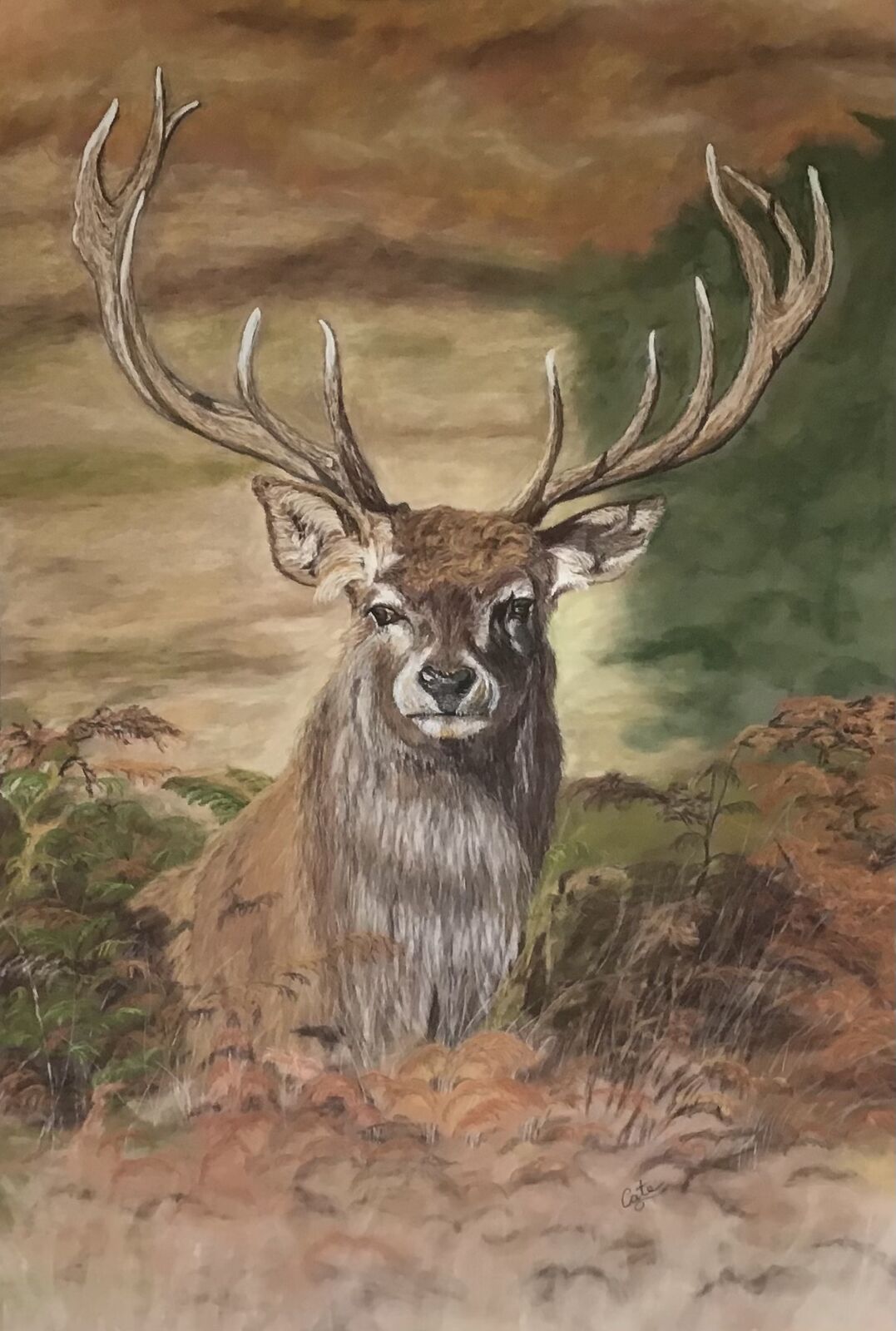 Autumn Stag