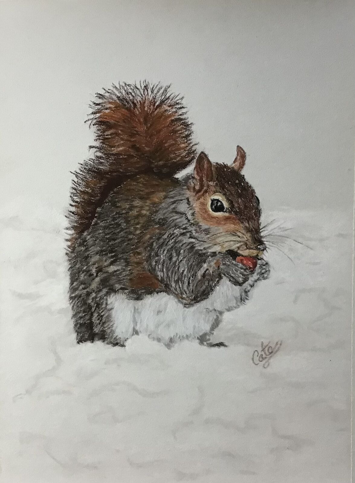 Snowy Squirrel