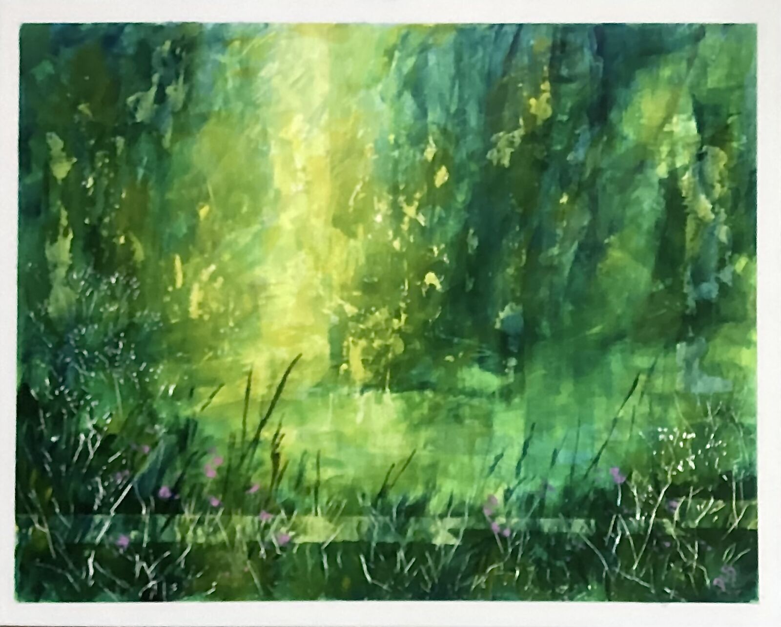 Spring in woodland