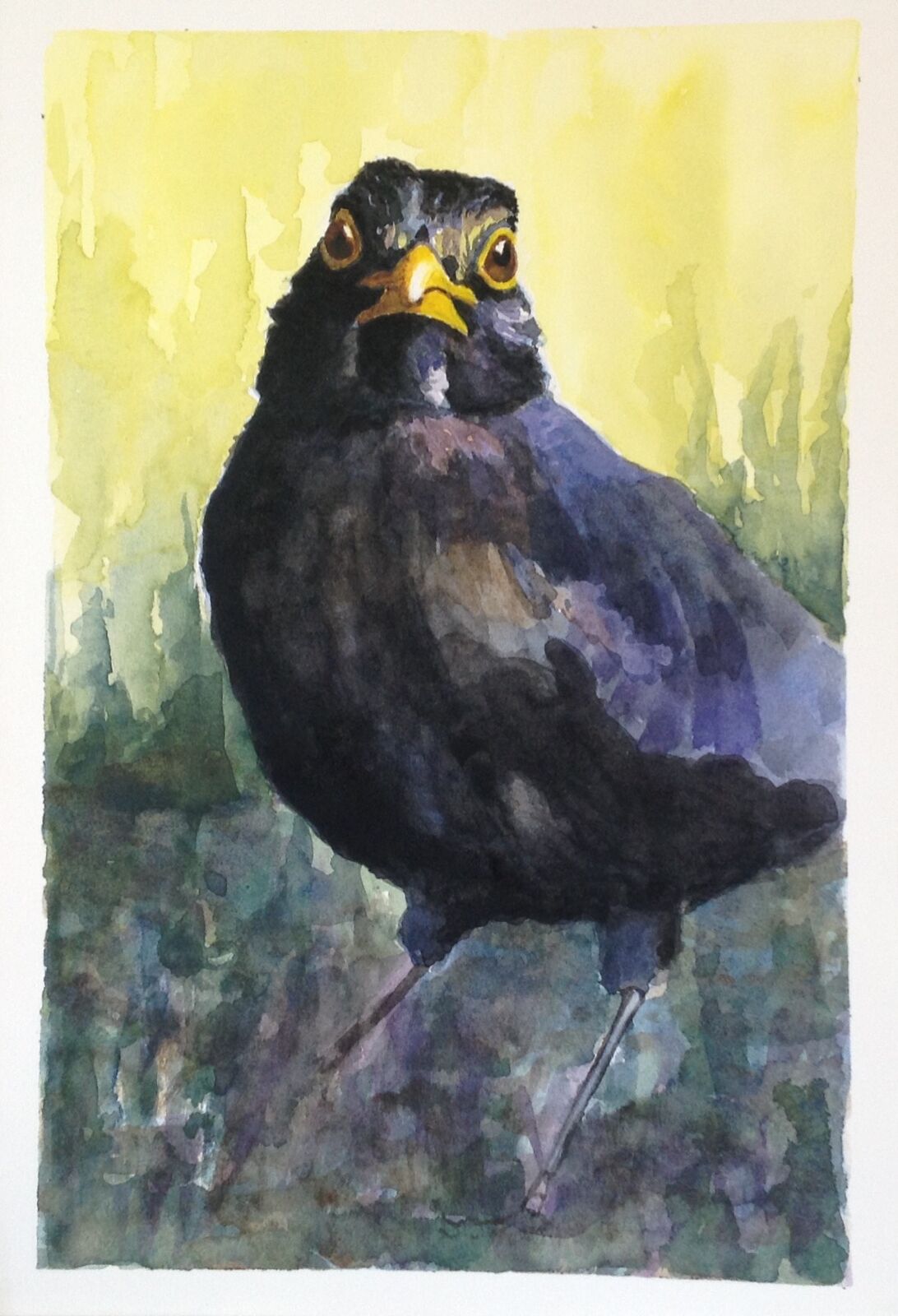 Blackbird