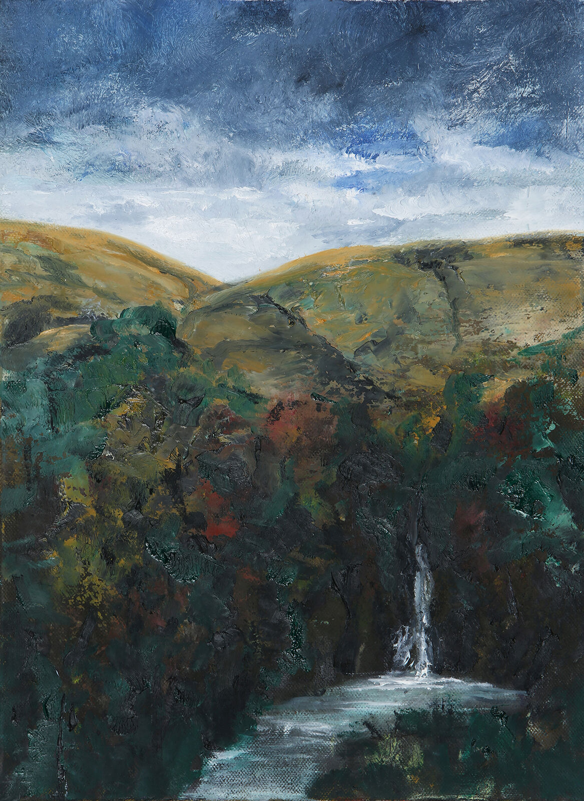 Pembrokeshire Waterfall