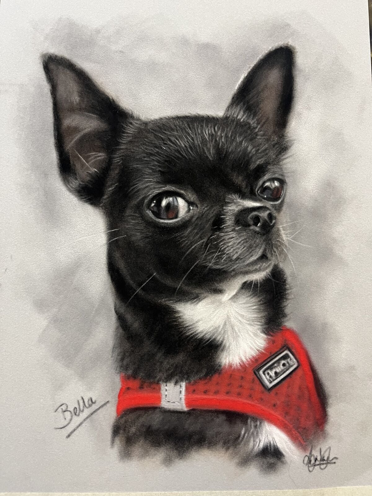 Bella