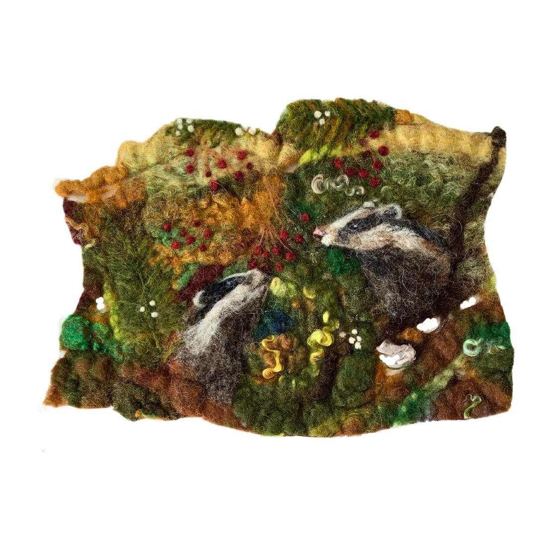 Winter Badgers