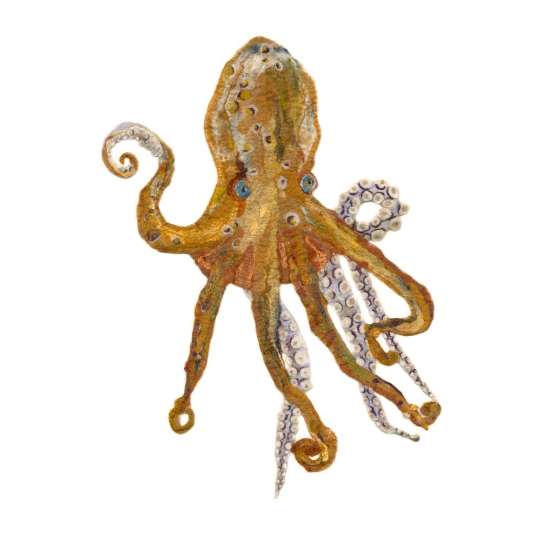 Octopus