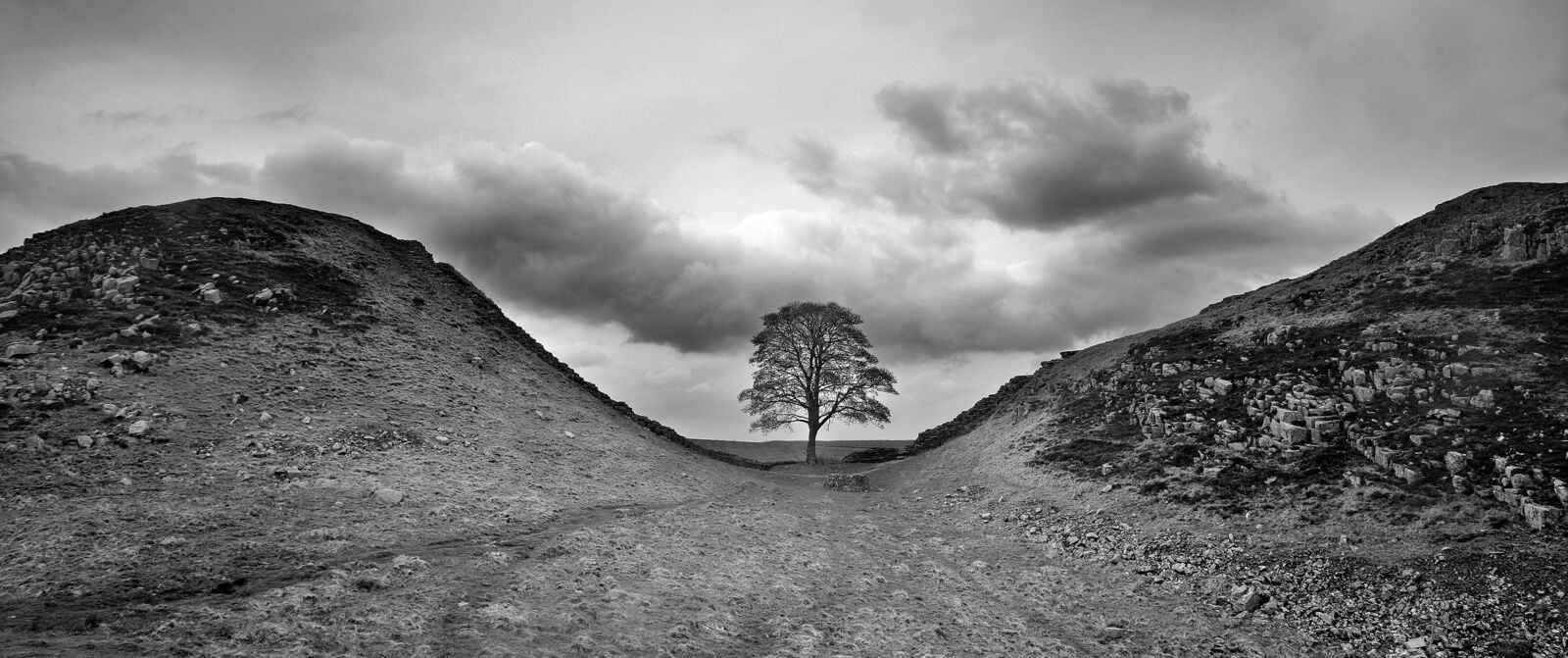 Sycamore Gap As Was