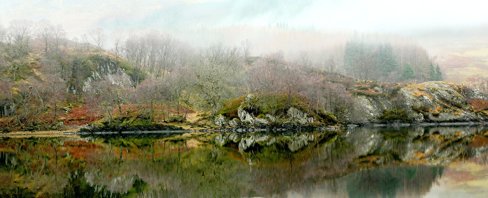 Highland Reflection