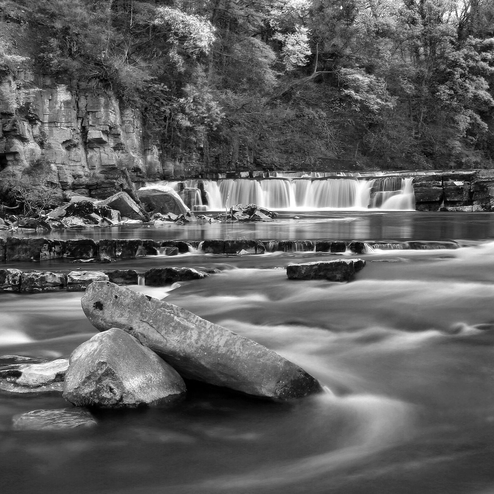 Richmond Force