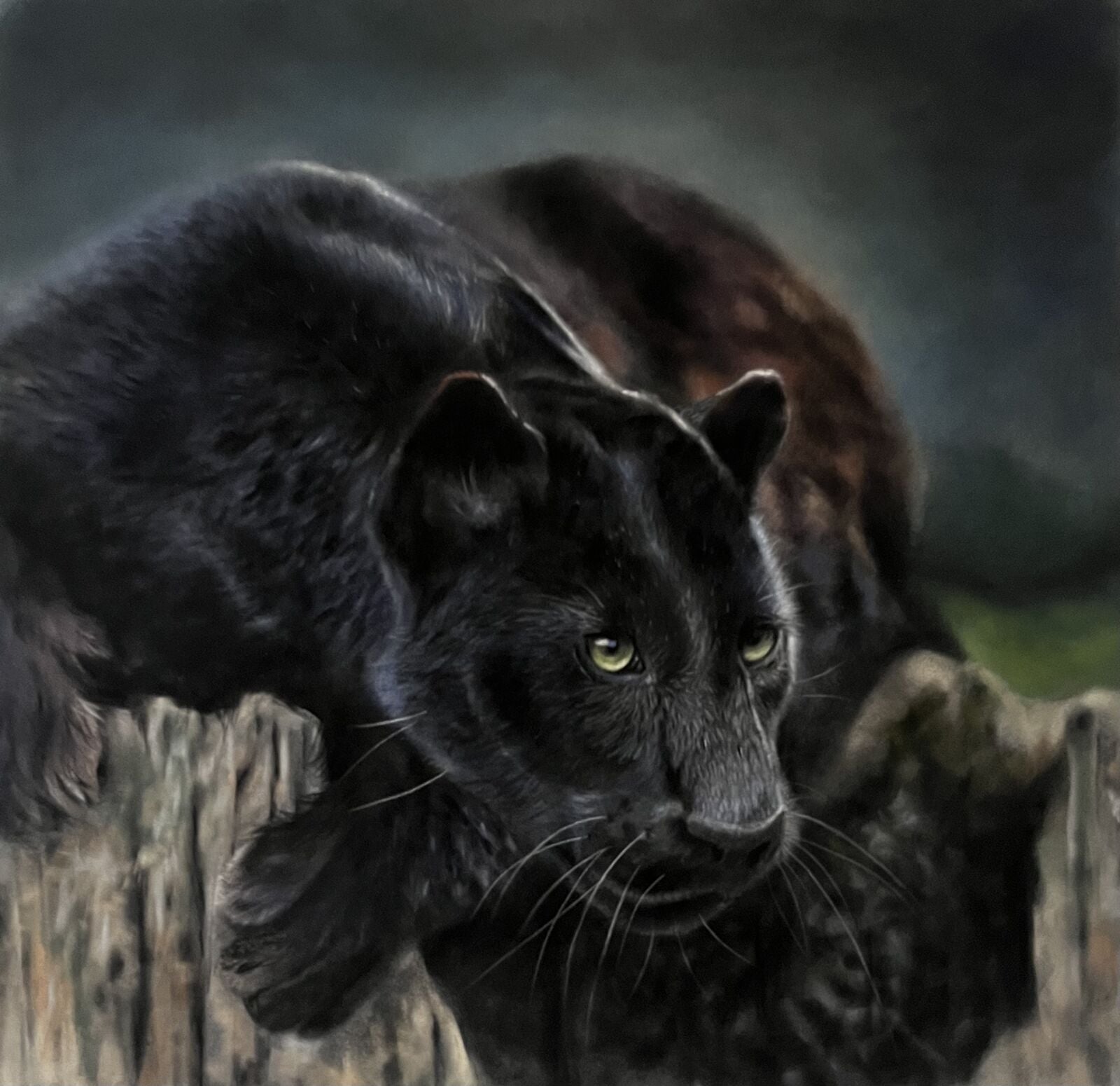 Night Watch